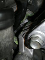 IMG_20230729_112304.jpg