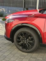 20230905_180820.jpg 20230905_180820.jpg