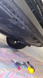 20231118_095236.jpg 20231118_095236.jpg