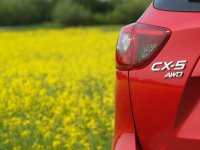 P5127191 (Andere).jpg