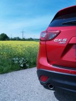 P5127185 (Andere).jpg