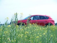 P5127157 (Andere).jpg