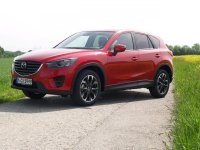 P5127153 (Andere).jpg