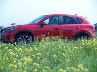 P5127162 (Andere).jpg