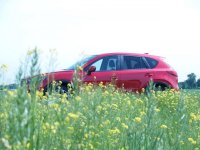 P5127156 (Andere).jpg