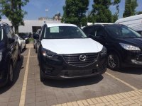 IMG_9395.jpg IMG_9395.jpg