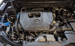 PXL_20240210_115006786 (Klein).jpg