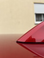 IMG_5575.jpeg