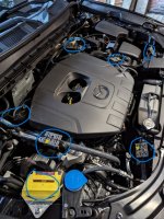 PXL_20240210_152102089 (Mittel).jpg