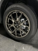 IMG_6268.jpeg