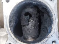 WhatsApp Bild 2024-03-05 um 16.34.04_d6a30ac3.jpg