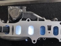 WhatsApp Bild 2024-03-08 um 22.23.06_28a44beb.jpg