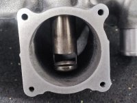 WhatsApp Bild 2024-03-08 um 22.23.06_d49052c7.jpg