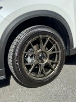 IMG_6307.jpeg