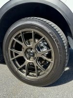 IMG_6306.jpeg