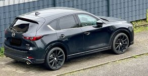 IMG_1270.jpeg IMG_1270.jpeg