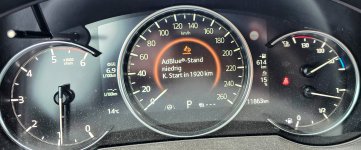 adblue - seltsam.jpg