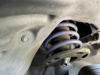 IMG_1598.jpeg IMG_1598.jpeg