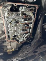 WhatsApp Bild 2024-07-10 um 19.31.16_41f3e2ef.jpg