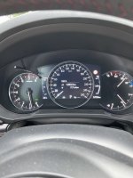 IMG_4518.jpeg
