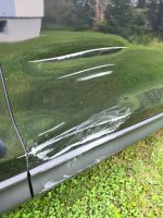 1000041106.jpg 1000041106.jpg