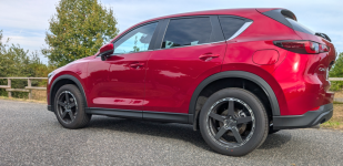 PXL_20240907_142538046_edit_verysmall.png PXL_20240907_142538046_edit_verysmall.png