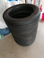 IMG_20241012_125551.jpg