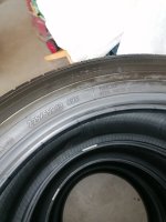 IMG_20241012_125647.jpg