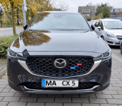 CX5.png