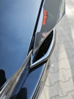 IMG_20250416_171356.jpg
