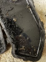 IMG_2523.JPG