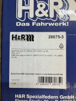 IMG_3265.jpeg