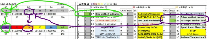 seat belt.jpg seat belt.jpg