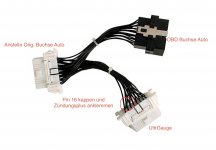 IMG_0655.jpeg IMG_0655.jpeg