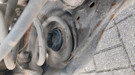 20260310_145602_1.jpg 20260310_145602_1.jpg