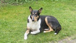 IMG_3368.jpeg