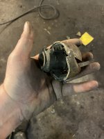IMG_3571.jpeg