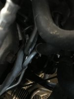 IMG_0331.jpeg IMG_0331.jpeg