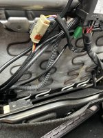 IMG_3556.jpeg IMG_3556.jpeg