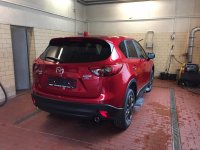 My Photo Stream - 1 von 2.jpg