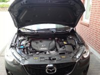 Haubenlifter 003.jpg Haubenlifter 003.jpg