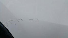 20150621_140808a.jpg