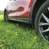 S1efan