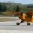 Pipercub